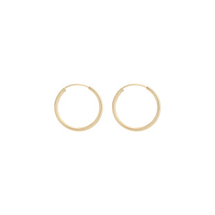 Brinco de Argola Ouro 18k Fio Redondo Mini