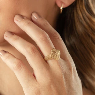 Anel de Ouro 18k Feminino